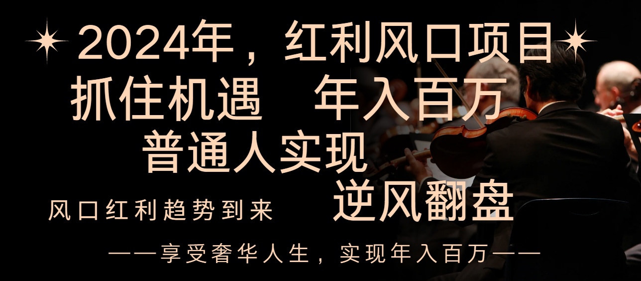 2024红利风口项目来袭，享受第一波红利，逆风翻盘普通人也能实现，年入百万-舒阳传媒网