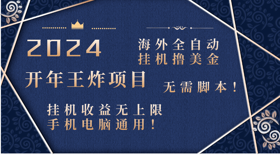 2024海外全自动挂机撸美金项目！手机电脑均可，无需脚本，收益无上限！-舒阳传媒网