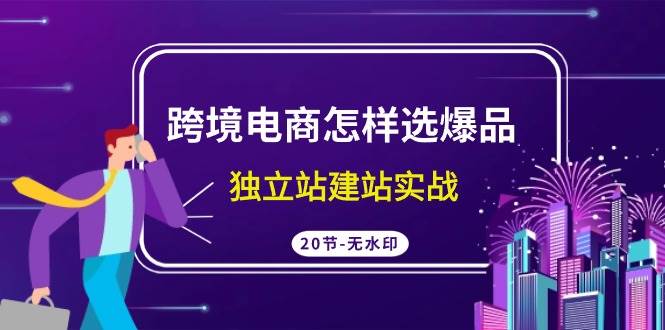 跨境电商怎样选爆品，独立站建站实战（20节高清无水印课）-舒阳传媒网