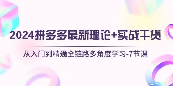 2024拼多多 最新理论+实战干货，从入门到精通全链路多角度学习-7节课-舒阳传媒网