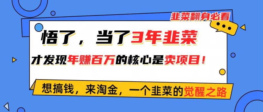 悟了，当了3年韭菜，才发现网赚圈年赚100万的核心是卖项目，含泪分享！-舒阳传媒网