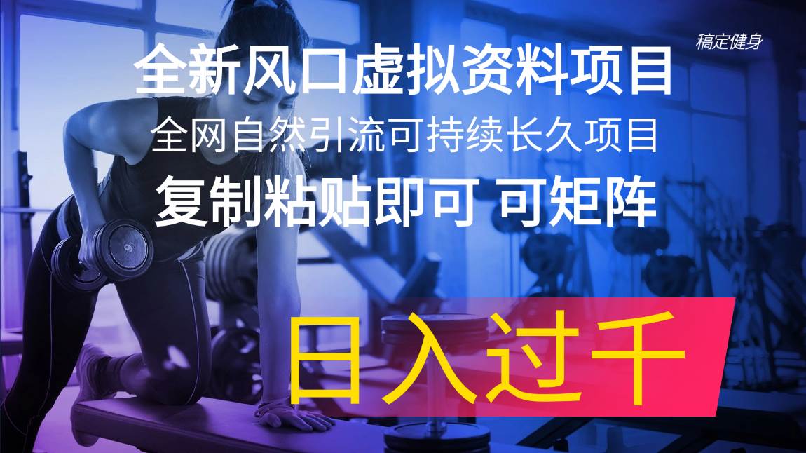 全新风口虚拟资料项目 全网自然引流可持续长久项目 复制粘贴即可可矩阵…-舒阳传媒网