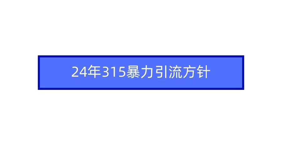 2024年315暴力引流方针-舒阳传媒网