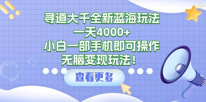 寻道大千全新蓝海玩法，一天4000+，小白一部手机即可操作，无脑变现玩法！-舒阳传媒网