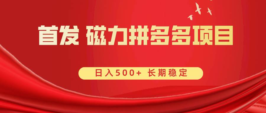 首发 磁力拼多多自撸  日入500+-舒阳传媒网