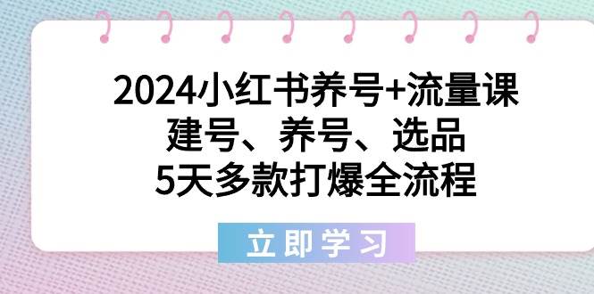 2024小红书养号+流量课：建号、养号、选品，5天多款打爆全流程-舒阳传媒网