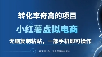 一单49.9，转化率奇高的项目，冷门暴利的小红书虚拟电商-舒阳传媒网