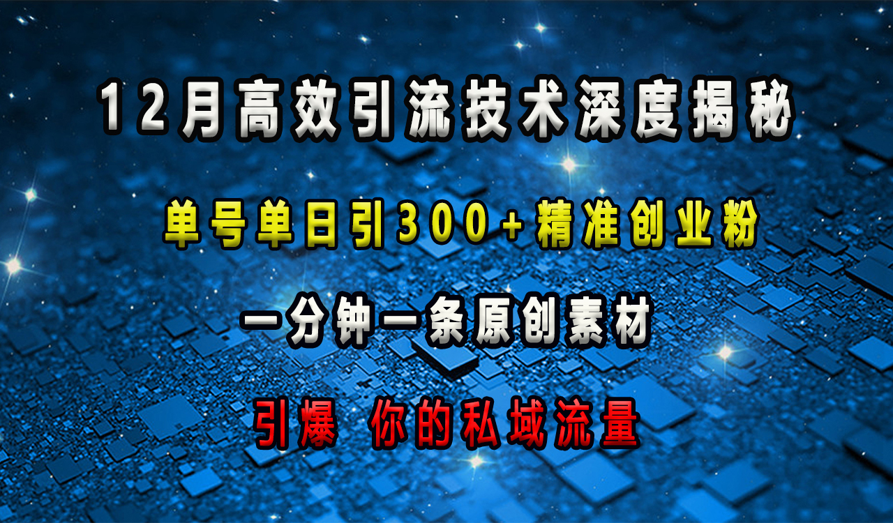 12月高效引流技术深度揭秘 ，单号单日引300+精准创业粉，一分钟一条原创素材，引爆你的私域流量-舒阳传媒网