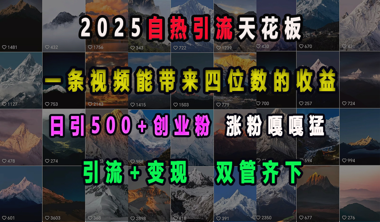 2025自热引流天花板，一条视频能带来四位数的收益，引流+变现双管齐下，日引500+创业粉，涨粉嘎嘎猛-舒阳传媒网