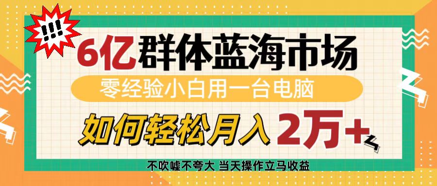 6亿群体蓝海市场，零经验小白用一台电脑，如何轻松月入2万+-舒阳传媒网