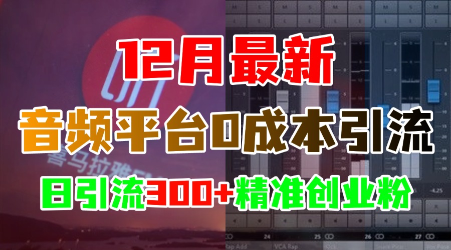 12月最新：音频平台0成本引流，日引300+精准创业粉-舒阳传媒网