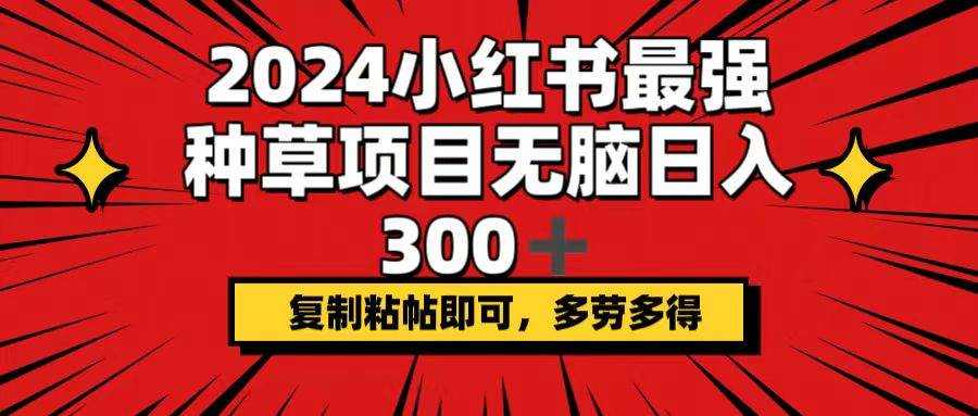 2024小红书最强种草项目，无脑日入300+，复制粘帖即可，多劳多得-舒阳传媒网